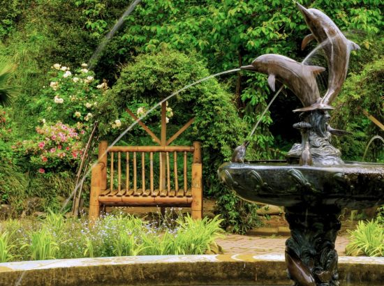 Yarra Valley Gardens