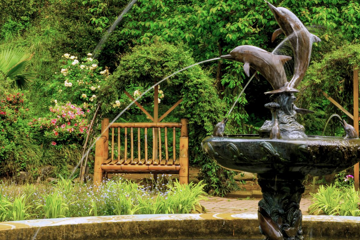 Yarra Valley Gardens